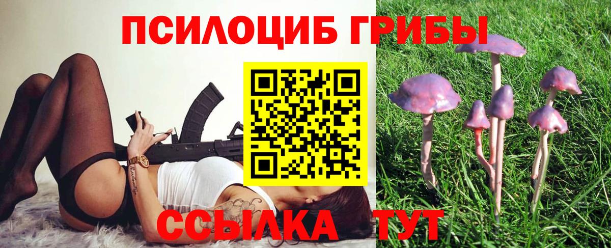Галлюциногенные грибы Cubensis Рубцовск